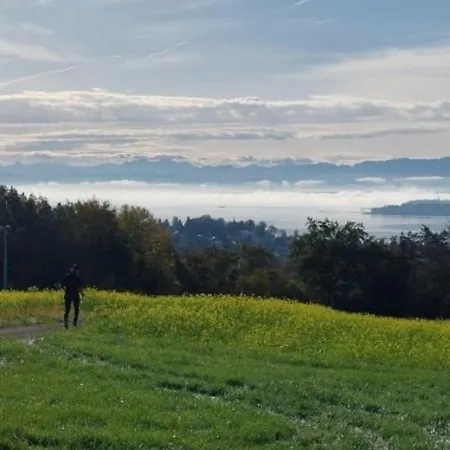 Seeblick - A70595 *